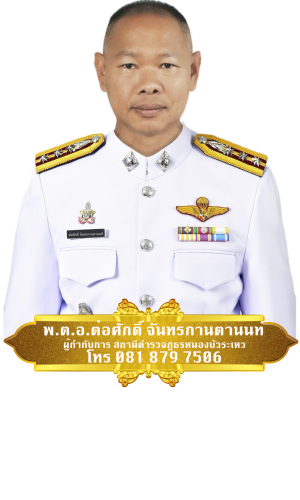 ผู้กำกับการ สถานีตำรวจภูธ